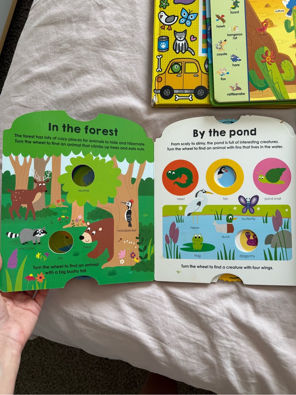 Set Books - Picture 8 of 8